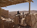 Tristram Masada, Judean Desert, Israel.