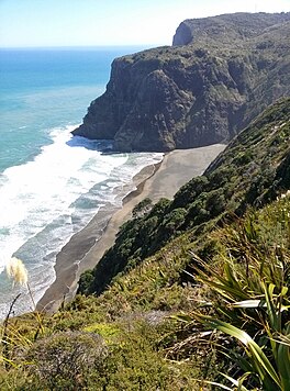 Piha 0772, New Zealand - panoramio (23).jpg