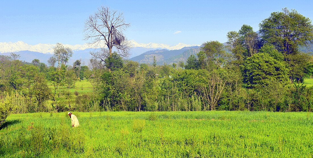 File:Poonch valley - AJK.jpg