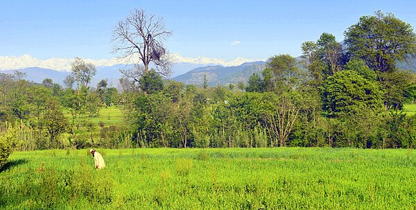 Image: Poonch valley   AJK