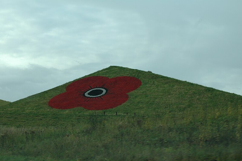 File:Poppy on the M8 on Bathgate Pyramids is finished and now Looking great.. - panoramio (1).jpg