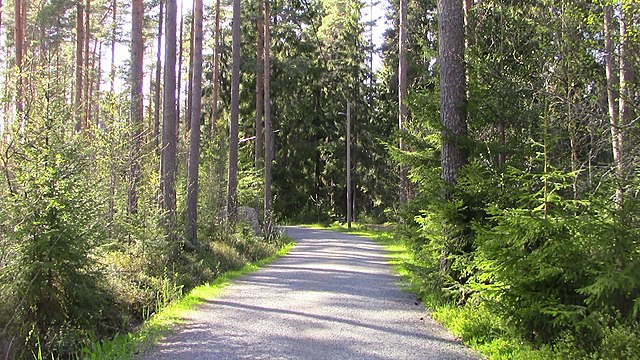 Jogging path in Pori, Finland