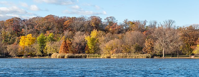 Fall foliage by Prospect Lake