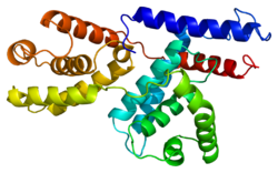 Ақуыз CCNH PDB 1jkw.png