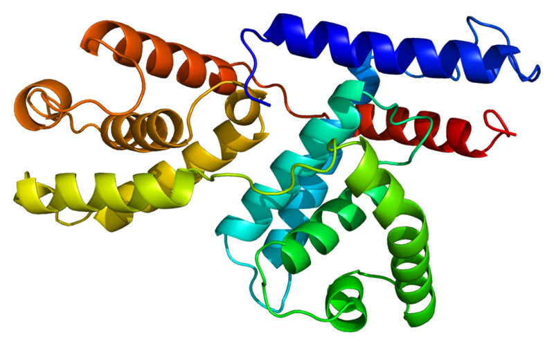 File:Protein CCNH PDB 1jkw.png