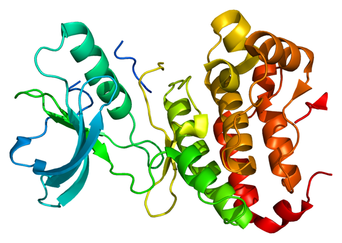 EPH receptor A3