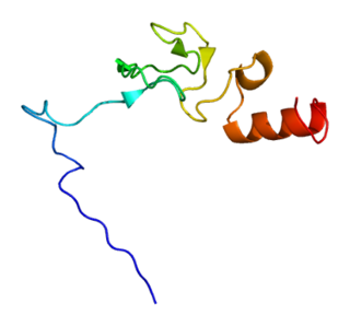 <span class="mw-page-title-main">RNF31</span> Protein-coding gene in the species Homo sapiens