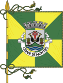 Bandeira de Montijo