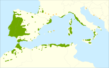 Quercus suber CORTECCIA - sughero maschio (4 pezzi di corteccia) – Vivai  Mola della Badia