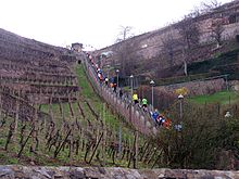 Spitzhaustreppenlauf 2013