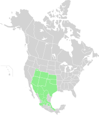 Native range of S. flaccidus. Range map-Senecio flaccidus-Native.svg