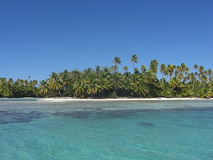 Coconuts in Rangiroa island in the Tuamotus, French Polynesia, a typical island landscape in Austronesia. Coconuts are native to tropical Asia, and were spread as canoe plants to the Pacific Islands and Madagascar by Austronesians.[79][80][81]