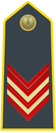 Rank insignia of appuntato scelto of the Guardia di Finanza.svg