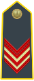 Rank insignia of appuntato scelto of the Guardia di Finanza.svg