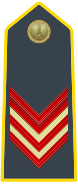 Select Appointee (Appuntato scelto) (Corporal)