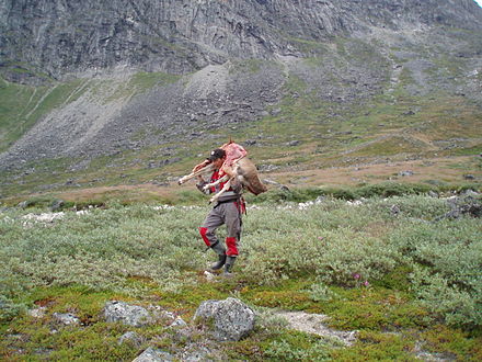 Hunter carrying a reindeer in Greenland