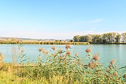 pohled na rybník Mrštín u Kosořic