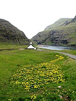 Kirken og fjorden