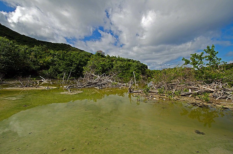 File:Salt Marsh on Jost van Dyke, BVI - panoramio.jpg