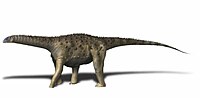 Saltasaurus loricatus.jpg