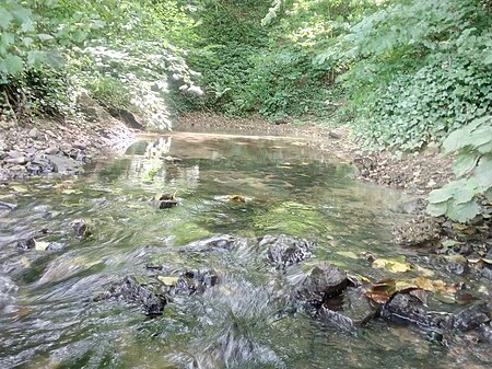 Salzach, Enzbrunnen, Bretten Ruit (3)