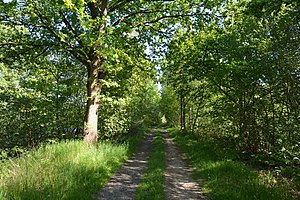 Schleswig-Holstein, Tellingstedt, Landschaftsschutzgebiet Großes Moor Kätner Moor NIK 7159.jpg