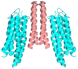 <span class="mw-page-title-main">Sensory rhodopsin II</span>