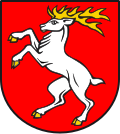 Thumbnail for File:Seyler Seiler of Liestal coat of arms.svg