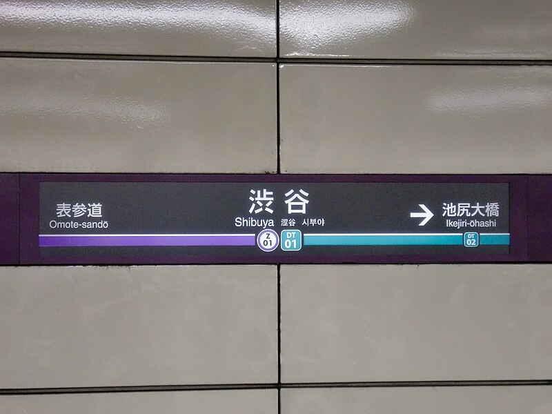 File:Shibuya-DT-Z-StationNameBoad.JPG