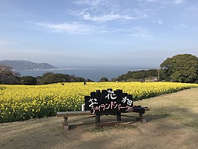 能古島(のこのしまアイランドパーク)