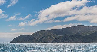 <span class="mw-page-title-main">Sinclair Head</span> Promontory on North Island, New Zealand