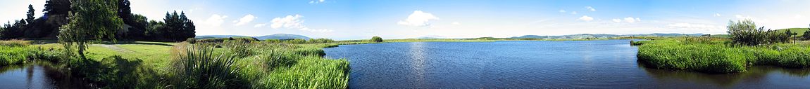 Panorama tanah lembap semula jadi ( Sinclair Wetlands, New Zealand)