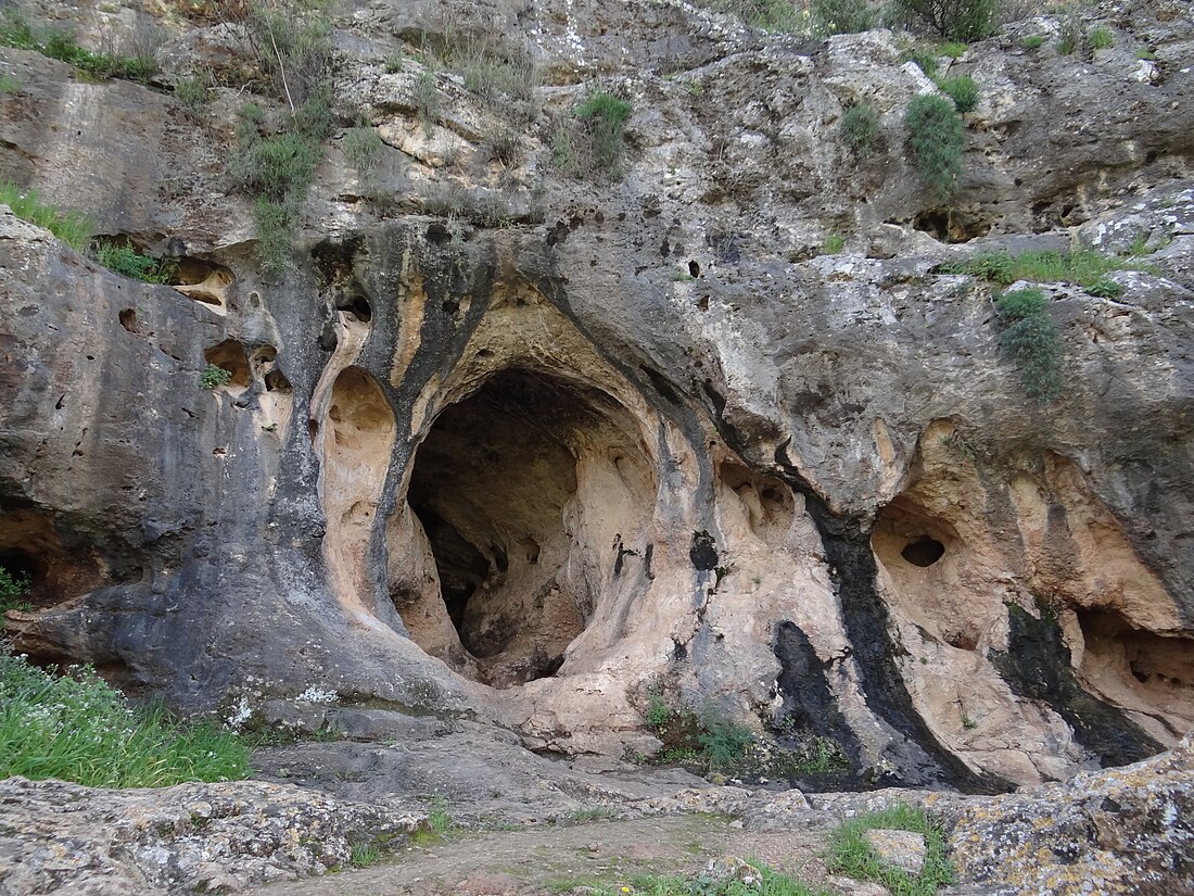 Skhul Cave