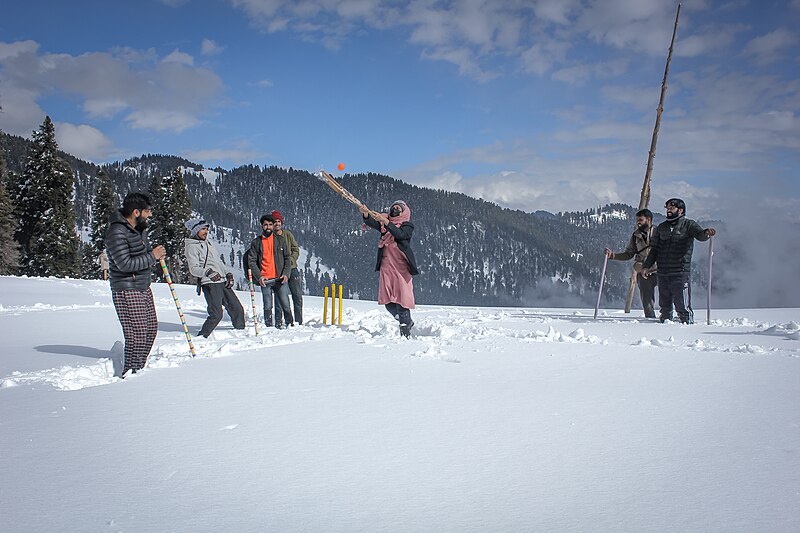 File:Snow Cricket.jpg