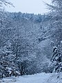 Snowy - Jan 2013 - panoramio (1).jpg