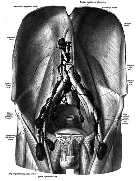 ไฟล์:Sobo_1909_605.png