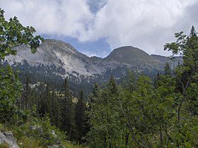 Malavalský summit.