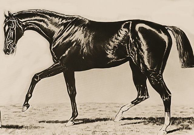 Spendthrift (horse)
