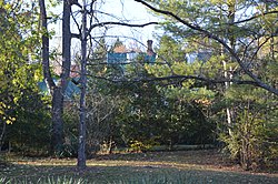 Steephill through the trees.jpg