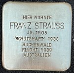 Stolperstein für Franz Strauss (Südwall 55)