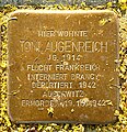 image=https://commons.wikimedia.org/wiki/File:Stolpersteine_Magdeburg_Toni_Augenreich.jpg