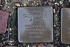 Stolpersteine Salomon Levi Bad Wildungen.jpg