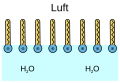 Thumbnail for version as of 13:02, 2 January 2024