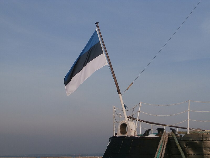 File:Suur To'll Flag Tallinn 6 February 2014.JPG