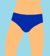 Swim briefs drawing.png