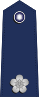 Taiwan-airforce-OF-3.svg