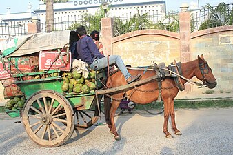 Tanga in Darbhanga, Bihar, India