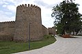 Telavi Fortress (თელავი)