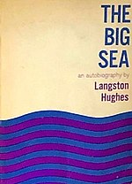 Thumbnail for The Big Sea