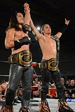 Vignette pour Liste des ROH World Tag Team Champions